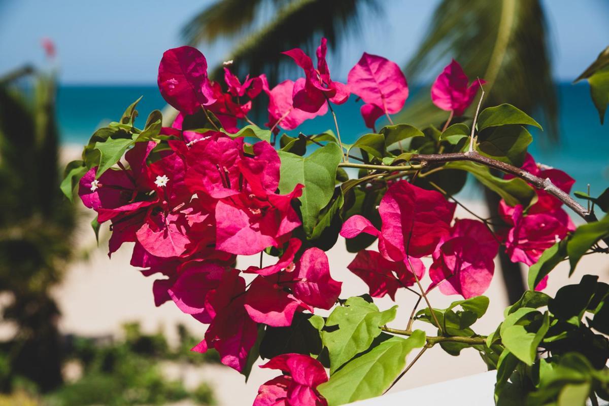 Numero Uno Beach House San Juan Ngoại thất bức ảnh